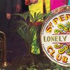 Sgt. Peppers lonly Hearts Club Band, Beatles, Pflanze, Trommel, Basedrum, bunt
