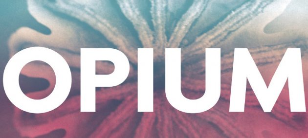 Opium, Mohnkapsel, Sepia, rosa, vergrößert