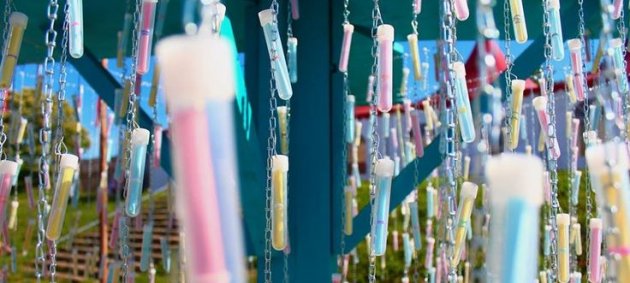 Tree of Messages, Freiburg, Zmf