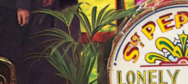 Sgt. Peppers lonly Hearts Club Band, Beatles, Pflanze, Trommel, Basedrum, bunt