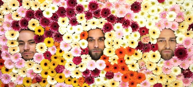 Blumen, Gesichter, Ok Kid, Stefan Braunbarth